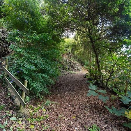 Finca El Molledo El Patio Lägenhet Icod De Los Vinos Exteriör bild