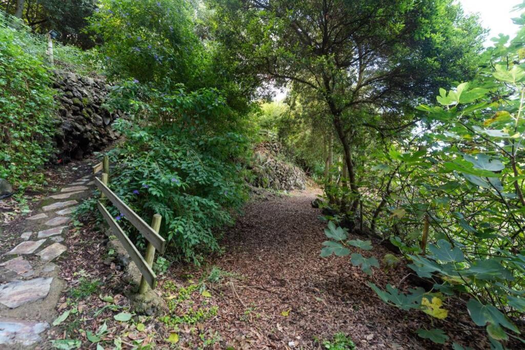 Finca El Molledo El Patio Lägenhet Icod De Los Vinos Exteriör bild