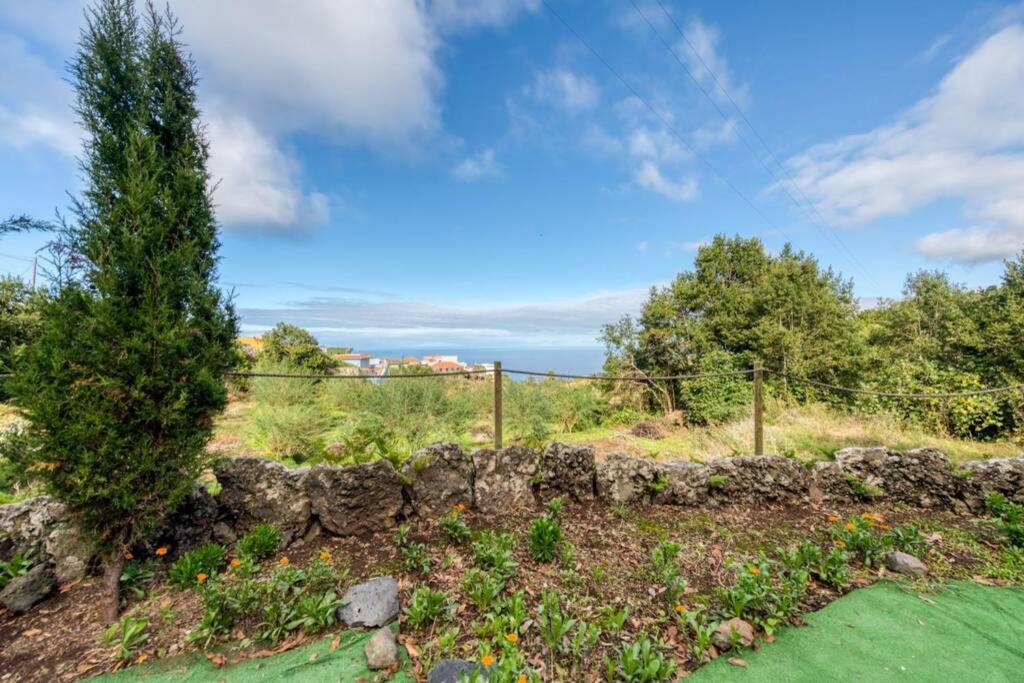Finca El Molledo El Patio Lägenhet Icod De Los Vinos Exteriör bild